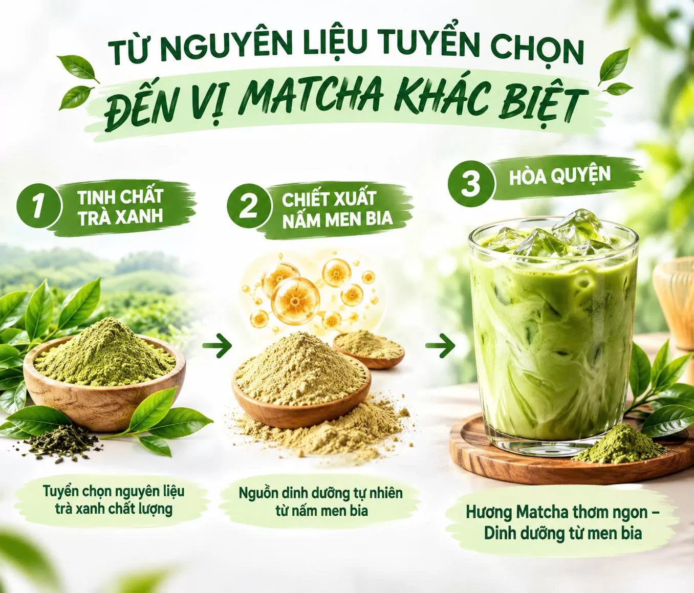 Bột nấm men bia trà xanh 100g